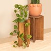 Storied Home Round Accent Table - 2 of 4