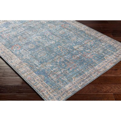 Markleville Pale Blue Washable Traditional Area Rug