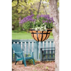 Living Accents Steel Hanging Basket Black - 1 of 1