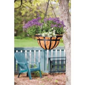 Living Accents Steel Hanging Basket Black Living Accents Steel Hanging Basket Black