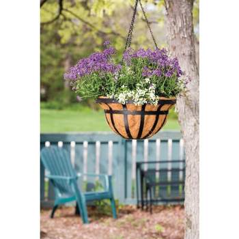 Living Accents Steel Hanging Basket Black