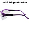 Birdz Eyewear Flamingo Bifocal Safety Goggles with Clear Lenses - 3 of 4