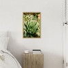 Amanti Art Succulent Whorl by Javier Pardina Canvas Wall Art Print Framed - 4 of 4