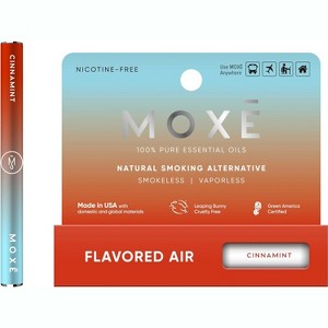 Cinnamint Natural Smokeless Air Device - 1 of 4