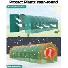 28x10x7.5ft Walk-in Greenhouse Tunnel ,Galvanized Steel Tunnel Greenhouse with Doors and Windows,for Home Gardening - 3 of 4