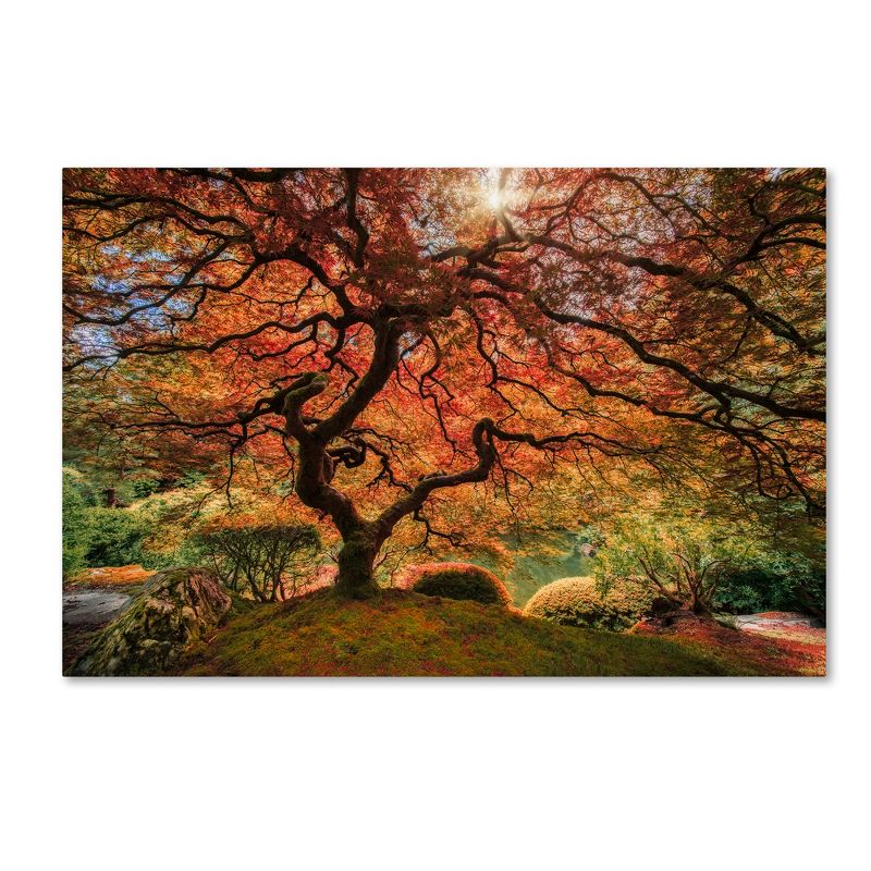 Trademark Fine Art -Moises Levy 'The Tree Horizontal' Canvas Art, 2 of 4