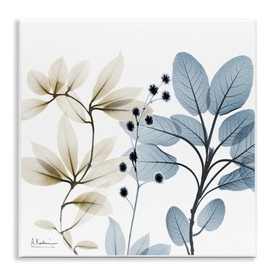 Stupell Industries Modern Herb Sprigs, 12" x 12"