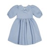 Hope & Henry Girls' Quilted Puff Sleeve Dress, Infant - image 3 of 3