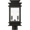 Livex Lighting Princeton 2 - Light Post Light in  Black/Polished Chrome Stainless Steel - 4 of 4
