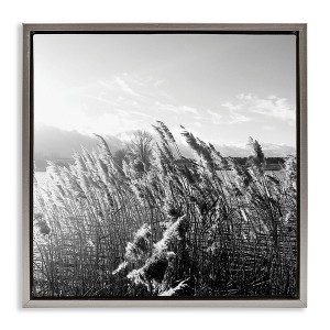 Stupell Industries Tall Grass Lake Water Landscape, 18" x 18" - 1 of 4
