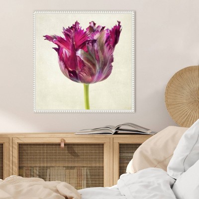 Single Parrot Tulip II Pink Canvas Wall Art with White Frame