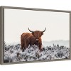 Amanti Art Highlander Horns by Jaap van den Canvas Wall Art Print Framed 23 x 16-in. - 3 of 4