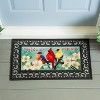 Evergreen Welcome Friends Sassafras Indoor Outdoor Switch Doormat 1'10"x10" Multicolored - 2 of 2