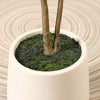 DR.Planzen 5-7FT Artificial Ficus Tree with Round White Planter, Pre Potted Faux Plant with White Border Leaves for Indoor Home Decor - 4 of 4