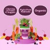 Amazing Grass Greens Blend Antioxidant: Super Greens Powder with Spirulina, Beets, Elderberry, Prebiotics & Probiotics, Sweet Berry, 15 Servings - 3 of 4