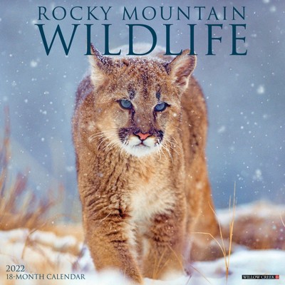 2022 Wall Calendar Rocky Mountain Wildlife - Willow Creek Press