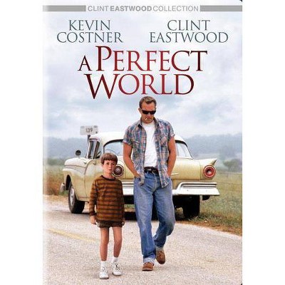 A Perfect World (DVD)(2010)