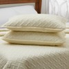 Cosy House Collection Luxury Rayon Derived from Bamboo 3-Piece Quilt Set - image 4 of 4