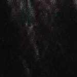 Raven Black