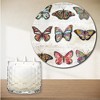 Courtside Market Butterfly Love 13.5 oz Soy Wax Candle with 8"x8" Artboard - 2 of 2