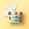 Beloved Pineapple & Papaya Vegan Body Cream - 10oz - image 4 of 4