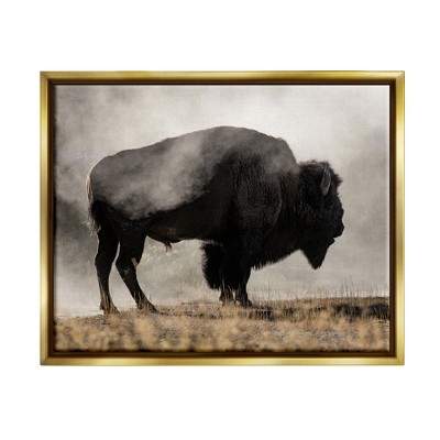 Stupell Industries Powerful Bison Grazing Foggy Rural Pasture PhotographyFloater Canvas Wall Art