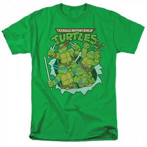 Mens Teenage Mutant Ninja Turtles Retro Tear Through T-Shirt - 1 of 2