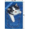Trends International Keith Kimberlin - Kitten - Pocket Unframed Wall Poster Prints - 3 of 4