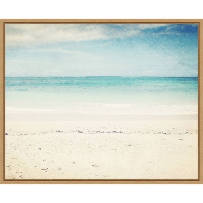 20" x 16" In the Clear by Lupen Grainne Framed Canvas Wall Art - Amanti Art
