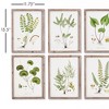Plum & Post Shade Garden Study, Set Of 6 - 3 of 4
