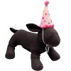 The Worthy Dog Birthday Party Hat - 4 of 4