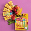 Carmex Daily Care Moisturizing Assorted Flavor Mini SPF 15 Lip Balm - 0.9oz - image 2 of 4