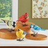 Collections Etc Hand-Painted Realistic Bird Sitters - Set of 4 5.5 X 2 X 3.75 - 2 of 2