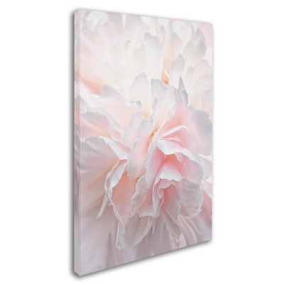 Trademark Fine Art - Cora Niele Pink Peony Petals IV Matted Framed Art