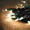 Joyfy 100 Count Clear Christmas String Lights, 19.4 FT Warm White Fairy Light Decor with Green Wire for Holiday Party Decoration Light - 3 of 4