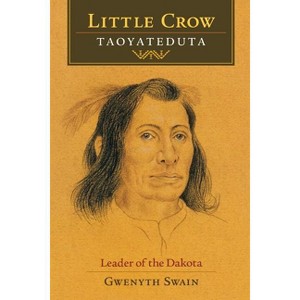 Little Crow - by  Gwenyth Swain (Paperback) - 1 of 1