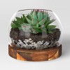 Glass Terrarium Includes Wood Base Natural Wood - Threshold™ - 3 of 4