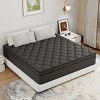 CHEVNI 12 Inch Mattress in a box Hybrid Spring Memory Foam Medium Firm - 2 of 4