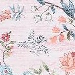peacock|pink