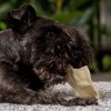 Pet Factory American Beefhide Chips - 4 of 4