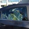 Beistle Dinosaur Car Cling, 12" x 17" Sh, (4/Pkg) Multicolored - 2 of 4