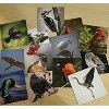 Ho-dee-ay Birds Card Game - 2 of 3