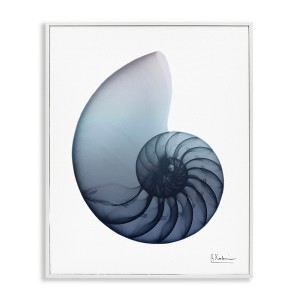 Stupell Industries Contemporary Nautilus Shell, 11" x 14" - 1 of 4