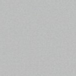 central florida golden knights