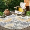 Barbados 500 BAR565 Power Loomed Indoor and Outdoor Rug - Safavieh - 2 of 4