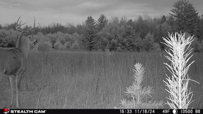 Guest review image 1 of 5, zoom in