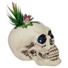 Northlight LED Lighted Succulent Halloween Skull Planter - 8.75" - image 4 of 4