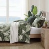 Tommy Bahama Palms Comforter Set - 2 of 4