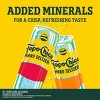 Topo Chico Hard Seltzer Variety Pack - 12pk/12 fl oz Slim Cans - 4 of 4