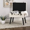 Velvet Upholstered Storage Stool with Black Legs - Glitzhome - 3 of 4